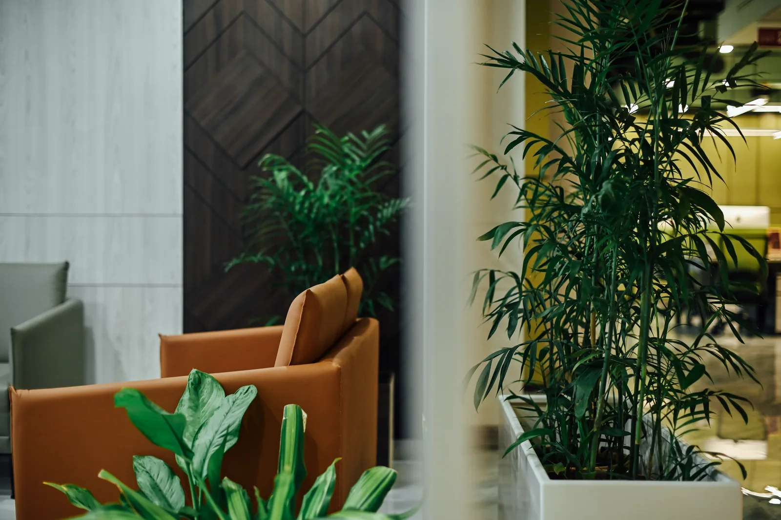 PSO House, 8th-floor rehabilitation, Karachi: Warm lounge seating behind layers of planting. 8th-floor rehabilitation photography.