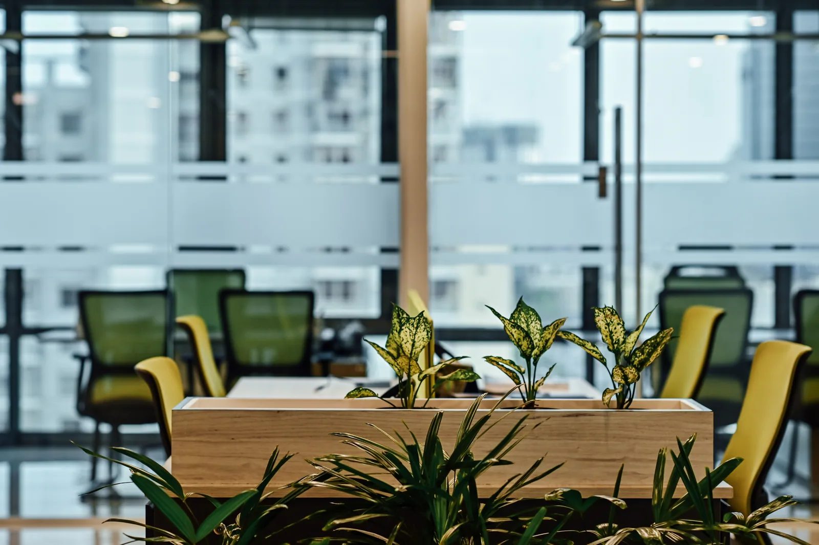 PSO House, 8th-floor rehabilitation, Karachi: Small plants sit between shared work and a meeting room. 8th-floor rehabilitation photography.