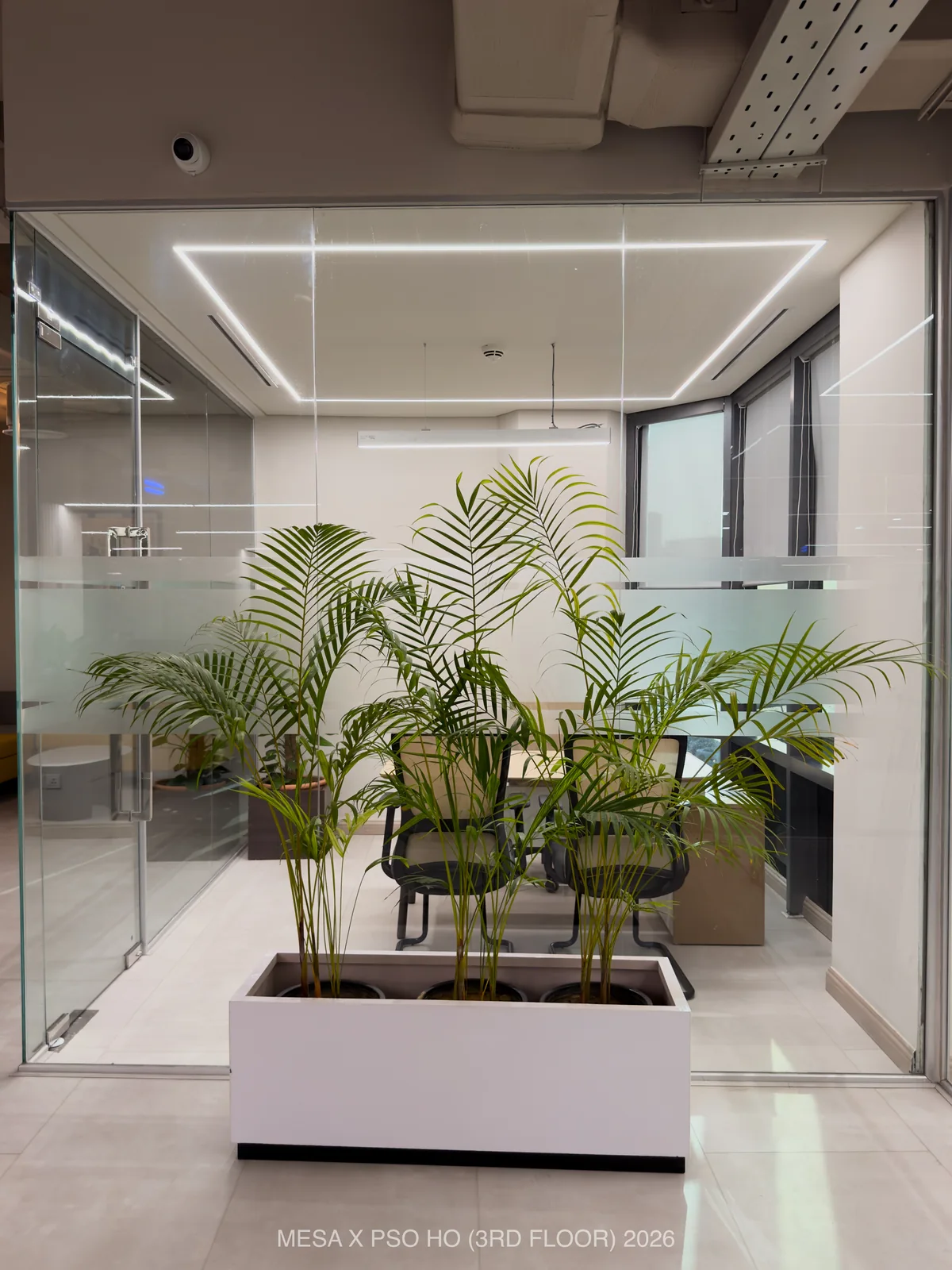 PSO House / Third floor / A planted box stands beside the transparent boundary of a meeting room.