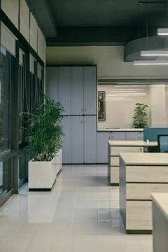 PSO 6th & 7th: Desks, storage and planting along the window wall. 6th–7th-floor interior photography.