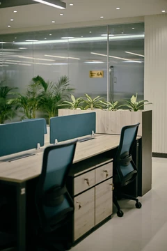 PSO 6th & 7th: Blue workstations and planting beside a glazed room. 6th–7th-floor interior photography.