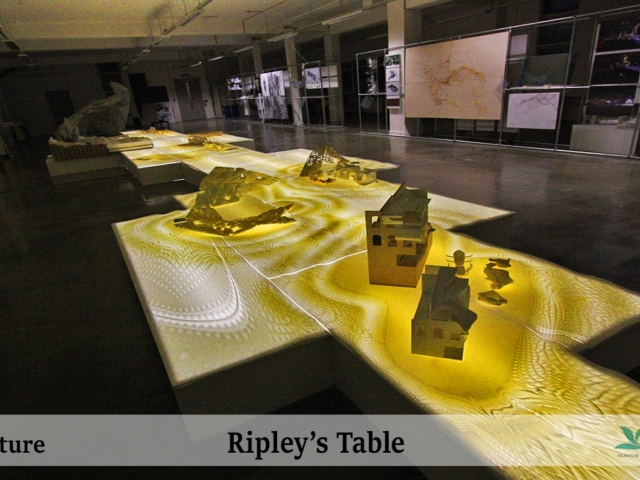 Ripleys-Table-10