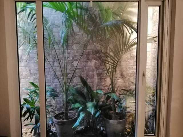 PHOTO-2020-12-26-13-45-18