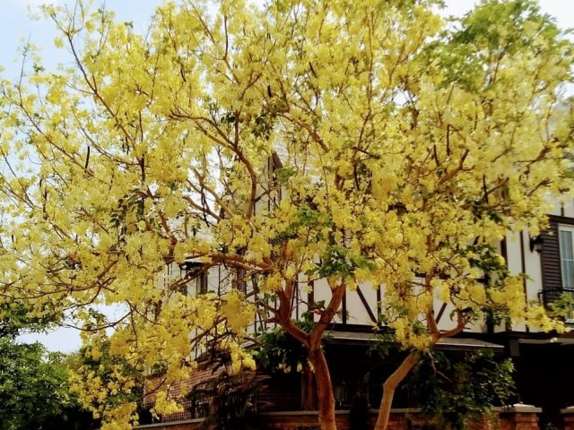 PHOTO-2020-12-26-13-45-19-1