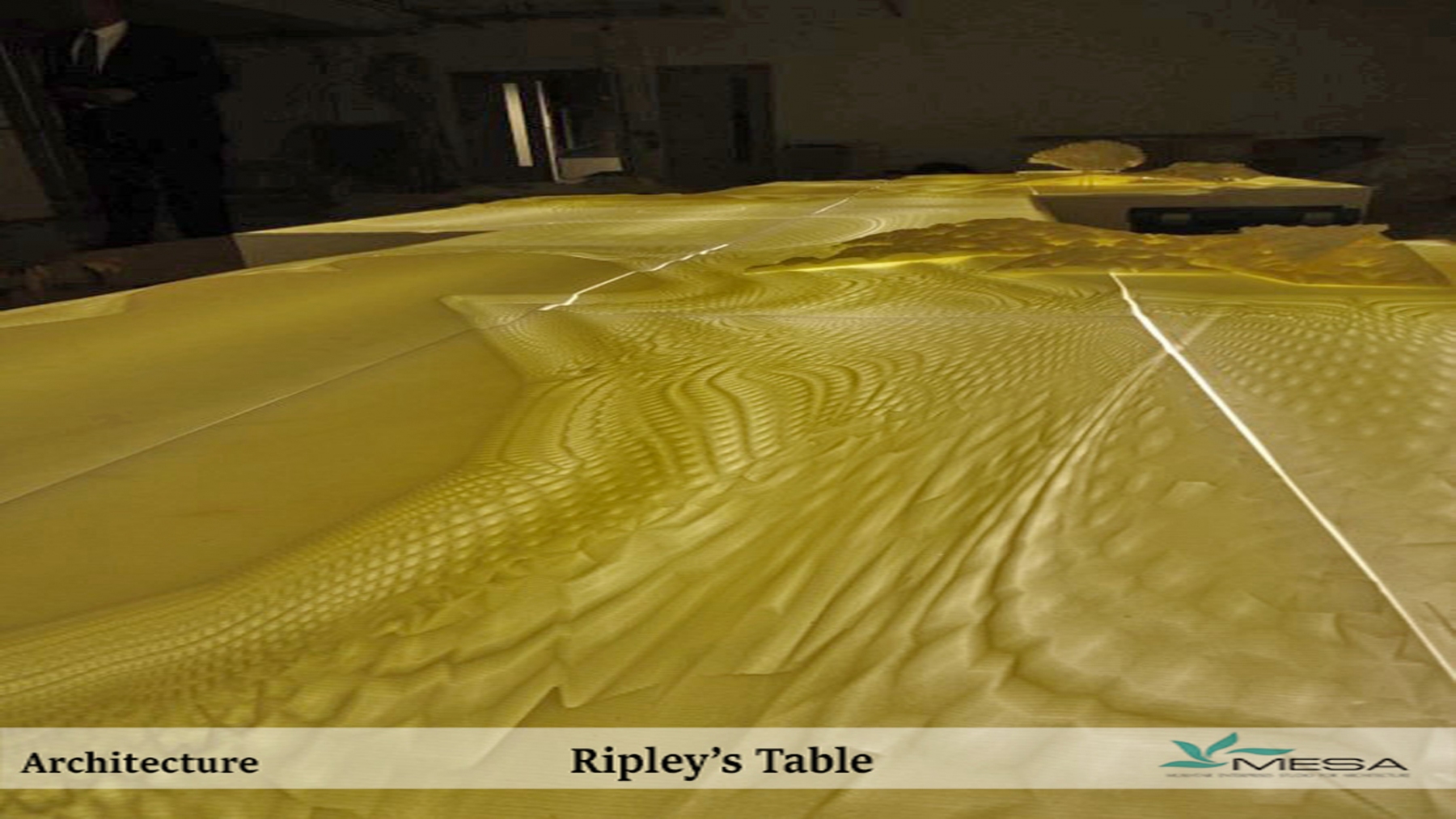 Ripleys-Table-1