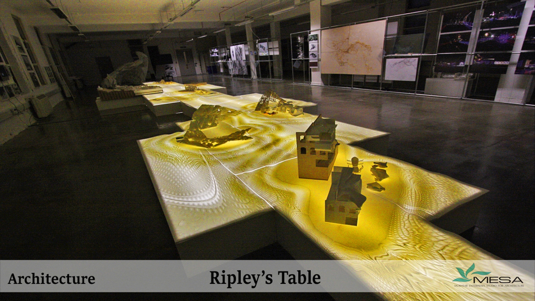 Ripleys-Table-10
