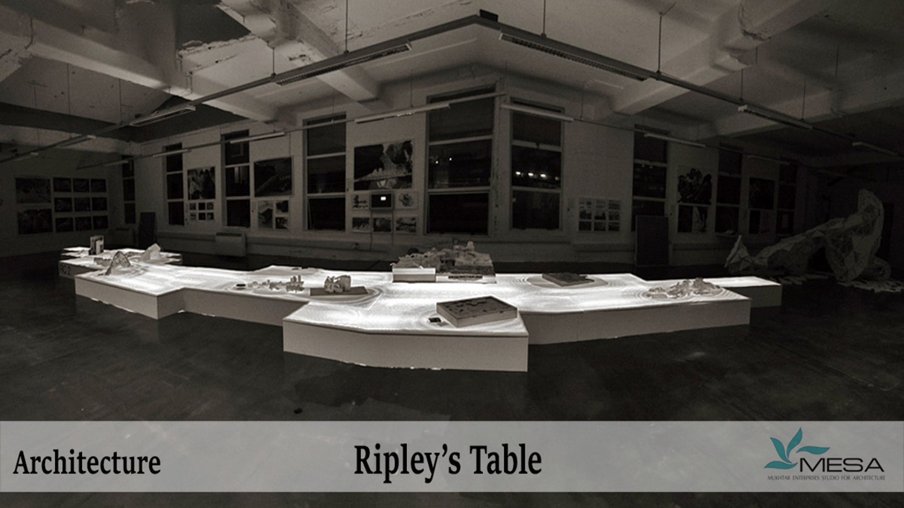 Ripleys-Table-2
