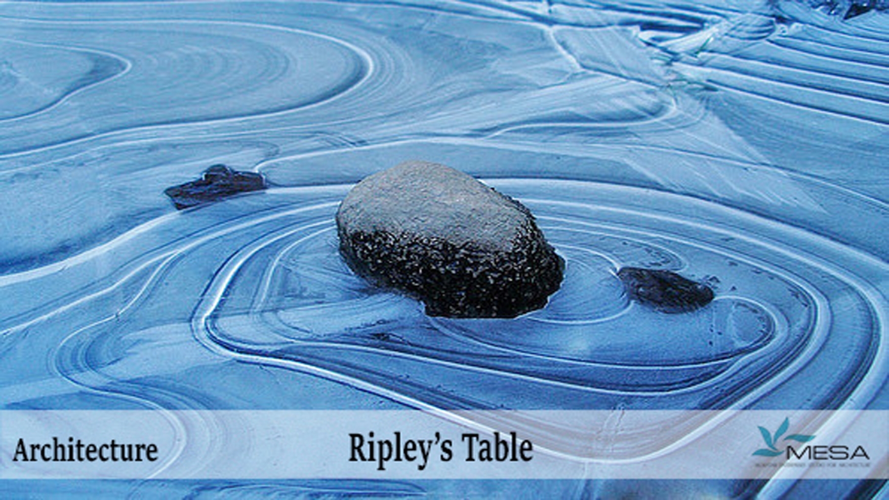 Ripleys-Table-4
