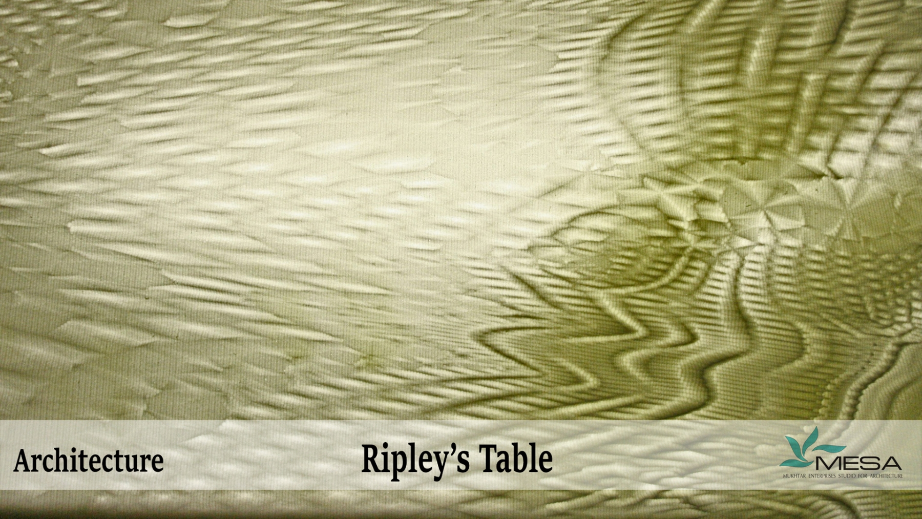 Ripleys-Table-8