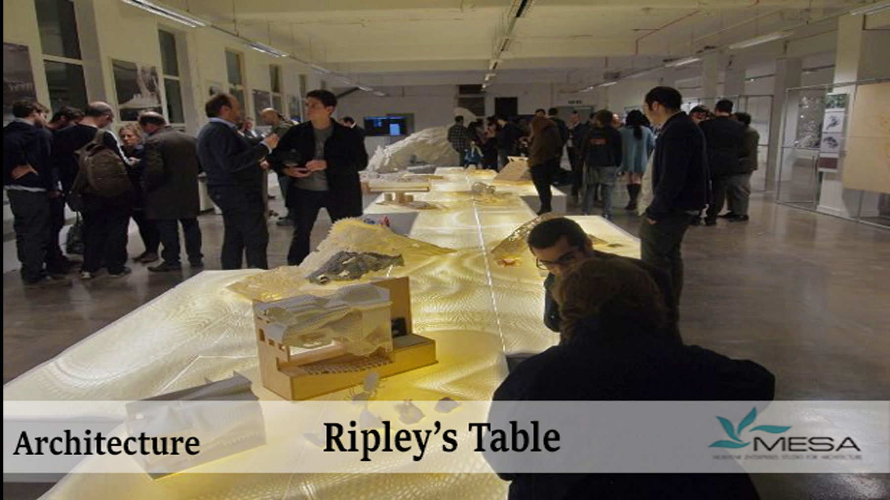 Ripleys-Table-9